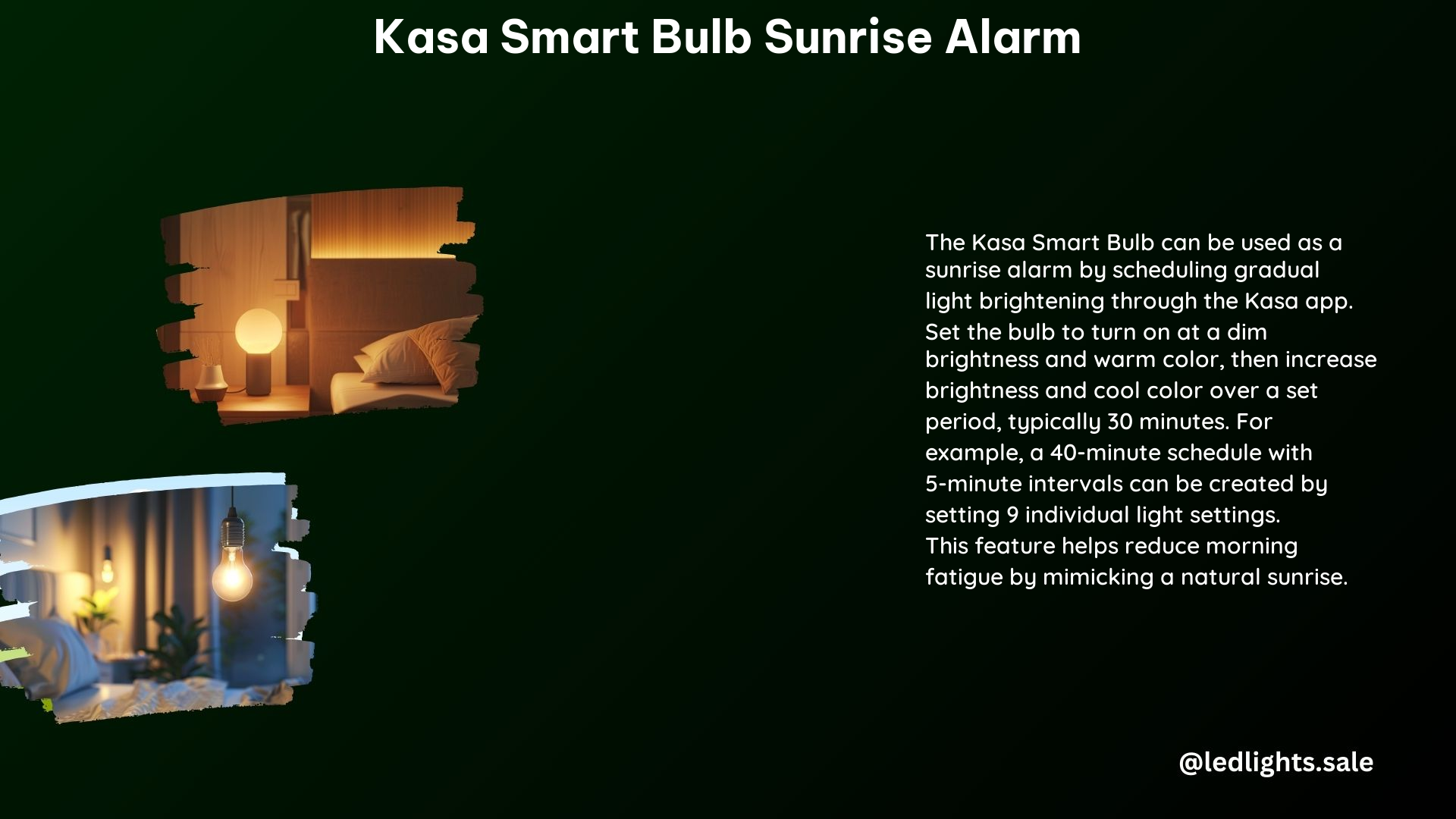 Kasa Smart Bulb Sunrise Alarm