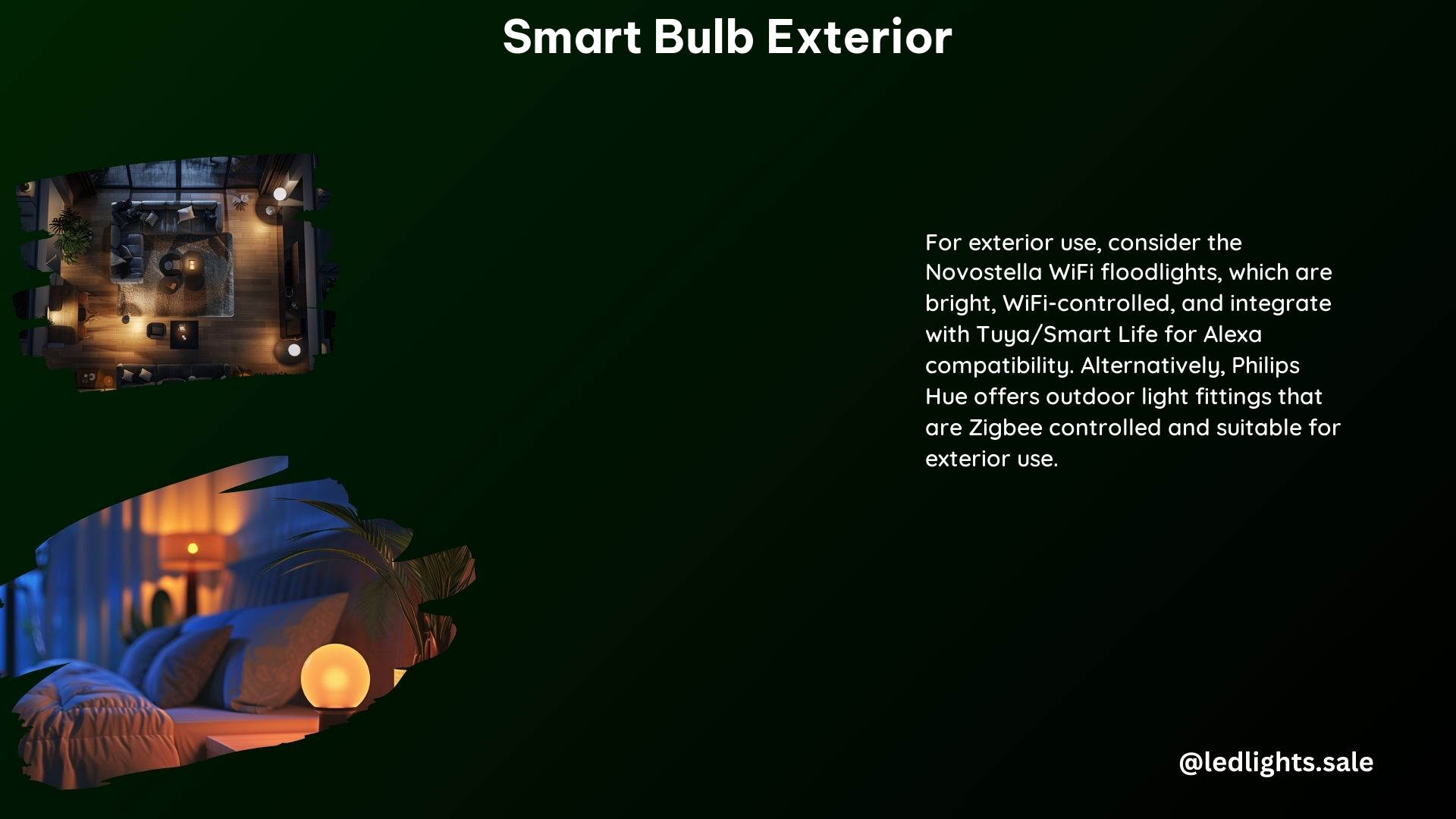 Smart Bulb Exterior