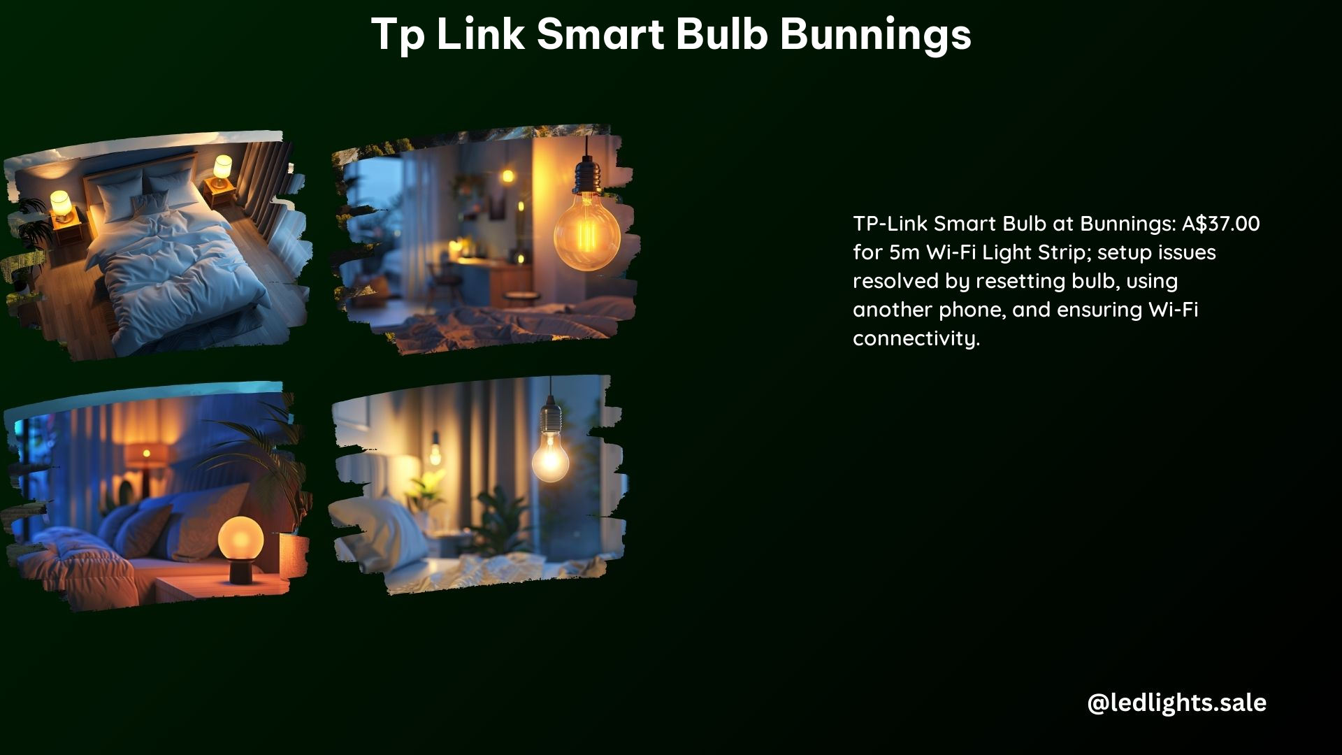 TP Link Smart Bulb Bunnings